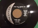Harry Deal & The Galaxies