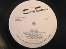 TERRY LEWIS rare Disco City disco funk Patrick Adams NM 12