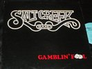 SALT CREEK  BAND Gamblin Fool LP PRIVATE MN RURAL ROCK RARE