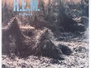 REM: Murmur USA IRS ORIG w/ TRANSLUCENT BROWN WAX Vinyl LP Inner VG++