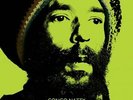 Congo Natty - Jungle Revolution In Dub Vinyl LP NEU 09533817