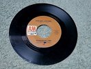 ROGER NICHOLS TRIO love song, love song US A&M RECORDS 7-inch 803