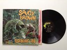 SAVOY BROWN Looking In 1970 Vinyl LP Gatefold NM