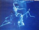 Catherine Wheel Chrome Fontana Vinyl LP
