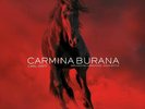 SIMON/BP/MATTHEWS/BROWNLEE/GERHAHER RATTLE - CARMINA BURANA 2 VINYL LP NEU ORFF