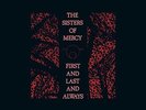 First and Last and Always (Vinyl Box Set) [VINYL] Sisters Of Mercy Vinyl