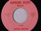LITTLE OSCAR: I Tried / The Message 45 Funk