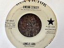 GWENN STACEY Lonely Girl/How Many Times RCA VICTOR 47-8451 promo NORTHERN SOUL