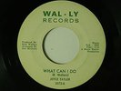 Joyce Taylor 45 WHAT CAN I DO / MEAN MIS-TREATER   Wal-ly VG