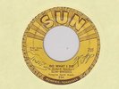 45 RPM Slim Rhodes SUN 256 Do What I Do-Take And Give