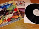 LIGABUE RARA 1^ EDIZIONE anno 1991 COMPLETO LP Lambrusco coltelli Rose Pop Corn