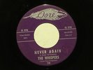 northern soul THE WHISPERS Never Again DORE hear soundclip