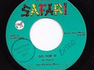 Disco Funk 45 PROTEIN BROS. Go For It/Snow Cone Safari HEAR Dennis Dragon