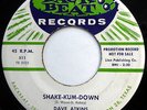 DAVE ATKINS 45 Shake-Kum-Down / Let's Have A Good Time PROMO Rockabilly m350
