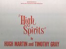 HIGH SPIRITS (Private LP) (Demonstration Recording)