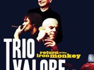 PAUL WELLER Rhythm Section Trio Valore Return Of The Iron Monkey Vinyl VERY RARE