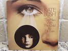 Kate Bush Man With The Child In His Eyes UK First Press Promo Single