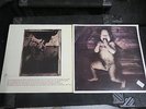 The PIXIES (2) Album LP LOT-Surfer Rosa/Gigantic-River Euphrates ORIGINAL 4AD