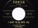 Sweet Soul Low Rider Oldies 45 LITTLE JULIAN HERRERA Lonely Lonely Nights HEAR