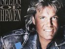 Blue System - Seeds Of Heaven (LP, Album, Fol) - Vinyl - 94934