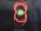 LP x 2 PEARL JAM Binaural