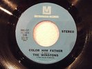 Soul 45 Collector-WINSTONS-COLOR HIM FATHER-METROMEDIA-Hear