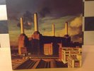 pink floyd animals