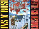 Guns N' Roses Appetite For Destruction Vinyl LP 1987 Banned Cover Geffen-WX 125