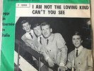 THE RUSTIKS 45 PS I Am Not The Loving Kind UK 60s BEAT Italy Pressing 1965 DECCA