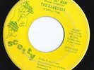 PRIVATE 1966 MN Garage 45 - THE ELECTRAS 