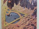 Greg Sneddon: Mind Stroll AUSSIE PROG LP