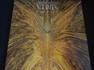 Cynic 