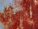 The Dream Syndicate - 3½ (The Lost Tapes: 1985-1988)