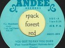 THE DRIFTERS  - You Got To Pay Your Dues - ANDEE - Northern  Soul   7