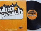 DIXIE PEACH - Self Titled s/t PRIVATE 1975 SOUTHERN ROCK BLUES Acid Archives