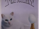 TOM FOOLERY ''Same'' LP USA 1981 RARE PRIVATE AOR/ HARD ROCK 