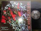 SHEER TERROR  thanks fer nuthin  LP  1992  NYCHC