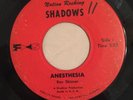 THE NATION ROCKING SHADOWS   ANESTHESIA   FS   Rare 60's FL garage