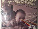 Flaming Lips Dark Side of the Moon Pink Floyd SEALED Green Vinyl Ltd RSD Rollins