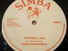 Dennis Brown Promised Land Killer Roots 12
