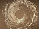 DAWN OF MIDI - Dysnomia - Vinyl (limited 2xLP)