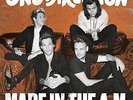 One Direction - Made In The A.M. (Vinyl LP / Album) (04.12.2015) (New)