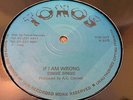 Singie Singie If I Am Wrong Rare Killer Digi Roots 12