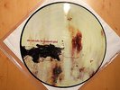 NINE INCH NAILS - THE DOWNWARD SPIRAL (PICLP, perfect condition, RARE)