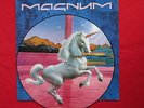 Magnum Picture Disc Record LP  Vigilante