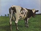 Pink Floyd Atom Heart Mother - 2nd - Gram Co vinyl LP album record UK SHVL781