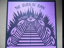 BURNIN RAIN: Pictures In The Fire. Rare Rockadelic. Neuwertig