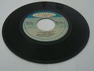 WILD FLOWER/BABYLON BURNING - BOBBY SOUL AND THE RIGHTEOUS FLAMES [ROOTS REGGAE]