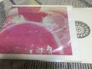 Rainbow ( deep purple ) Blackmore rider Live in tokyo 76 / no tmoq tmq JPN marc