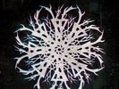Mammoth Weed Wizard Bastard - Noeth Ac Anoeth  Vinyl+CD #99420